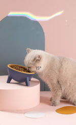 Cat Dog Bowl With Stand Pet Feeding Food Bowls - Image 3