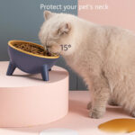 Cat Dog Bowl With Stand Pet Feeding Food Bowls - Image 2