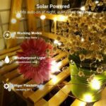Solar Powered String Lights Indoor Outdoor Waterproof For Gardens Home - Image 13