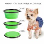 Collapsible Dog Bowls - Image 4