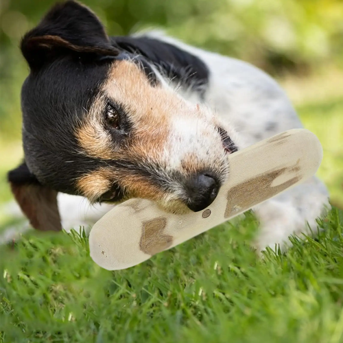 Dog Wood Chews Natural Puppies Calming Teething Toys Chewers Teeth
