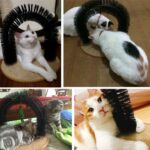 Purrfect Arch Self Groomer - Image 2