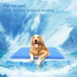 Summer Dog Cooling Mat Pet Ice Pad Teddy Mattress Pet Cool Mat Bed Cat