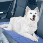 Summer Dog Cooling Mat Pet Ice Pad Teddy Mattress Pet Cool Mat Bed Cat - Image 2
