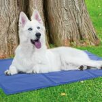 Summer Dog Cooling Mat Pet Ice Pad Teddy Mattress Pet Cool Mat Bed Cat - Image 6